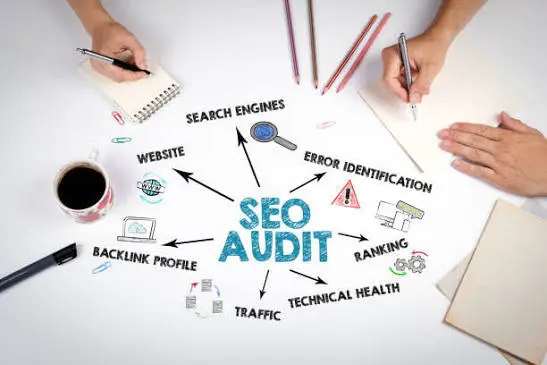 Free SEO audit showing website performance and search ranking analytics for small business
