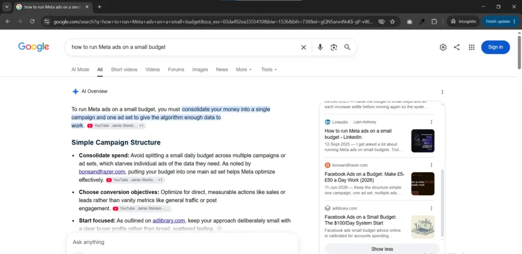 Google AI Overview for the query how to run Meta ads on a small budget, showing a generated answer with a panel of linked sources
