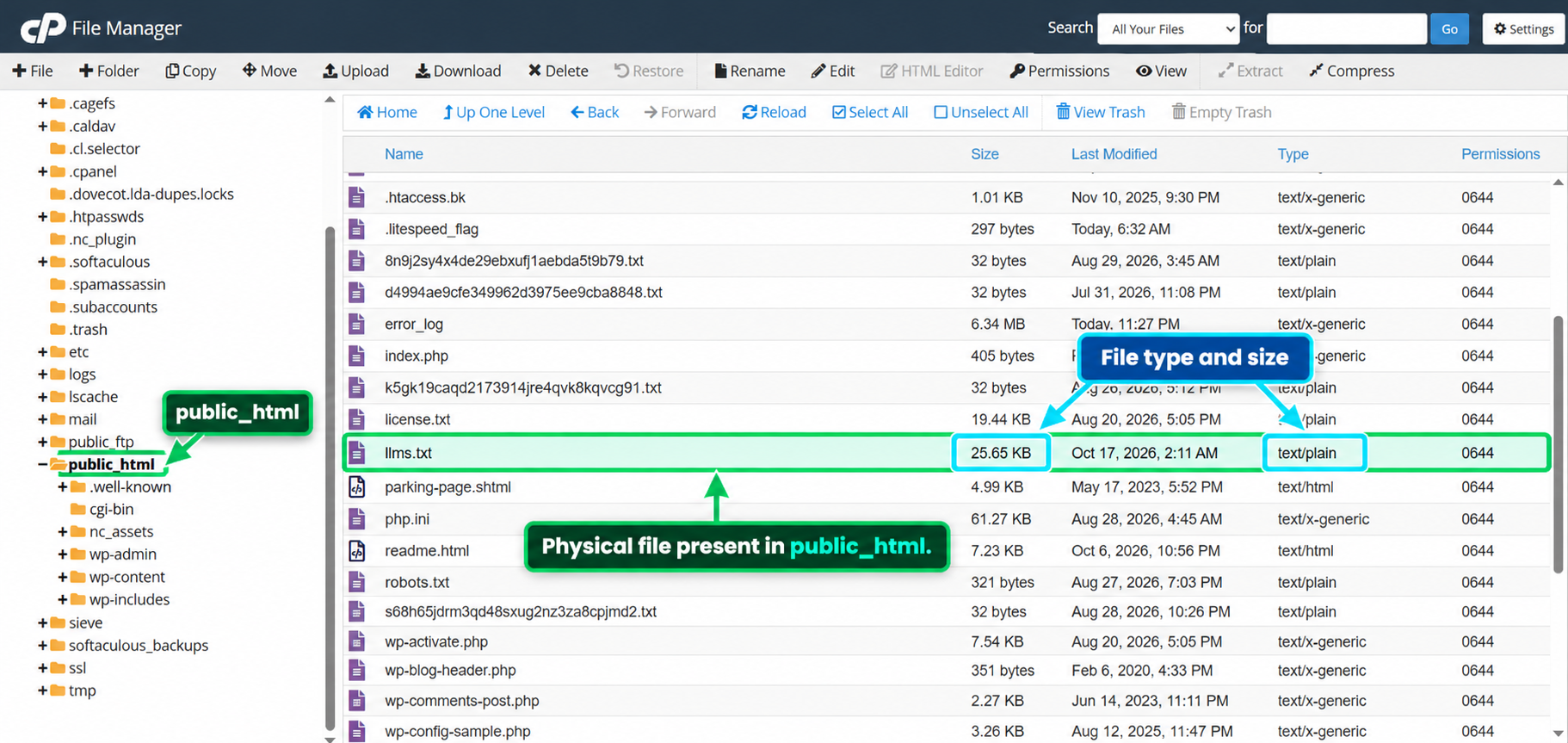 cPanel File Manager showing a physical llms.txt file in public_html