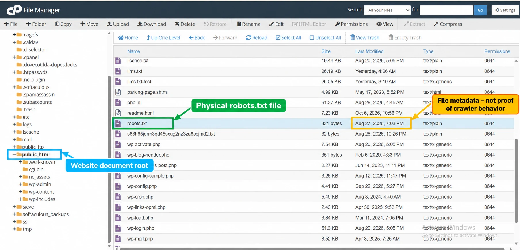 cPanel File Manager view showing the physical robots.txt file under public_html.