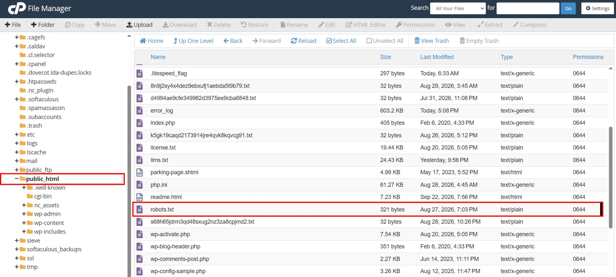 cPanel File Manager showing a physical robots.txt file in the public_html document root